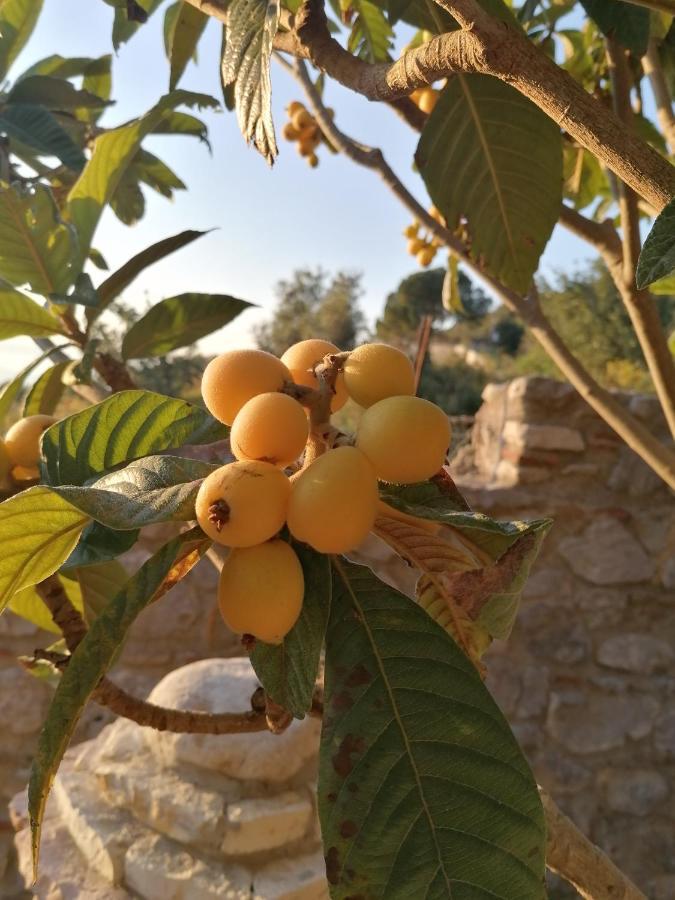 Villa Nonna Nina كاباتشي المظهر الخارجي الصورة